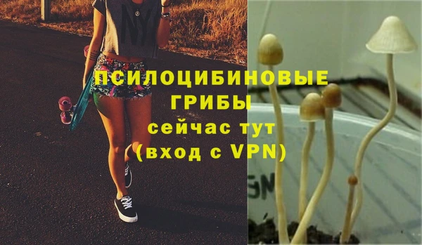 гидропоника Балабаново