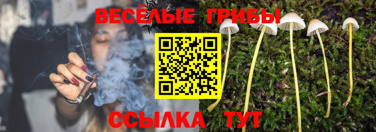 Псилоцибиновые грибы ЛСД  Вход с VPN  Белогорск 