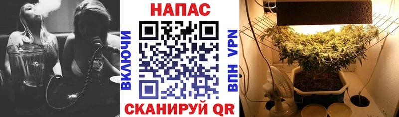 купить наркотики сайты  блэк спрут зеркало  Канабис конопля  Белогорск 
